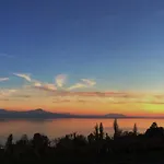 Le Cinquante Quatre Perroy