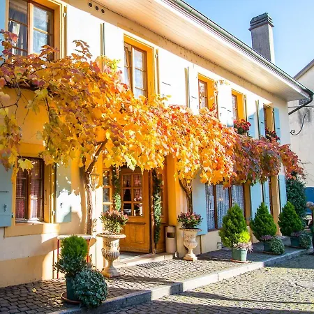 Le Cinquante Quatre Apartment