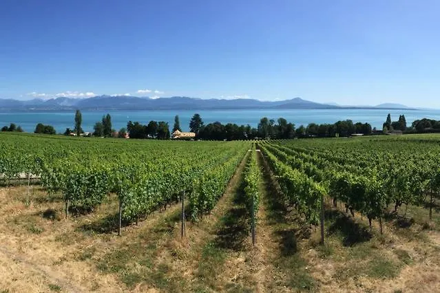 Apartment Le Cinquante Quatre