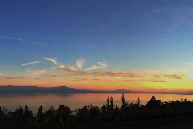 Le Cinquante Quatre Perroy