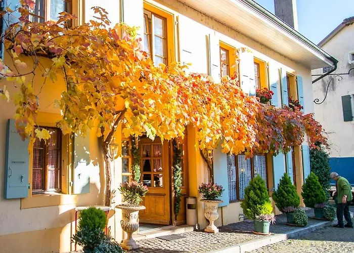 Le Cinquante Quatre Apartman